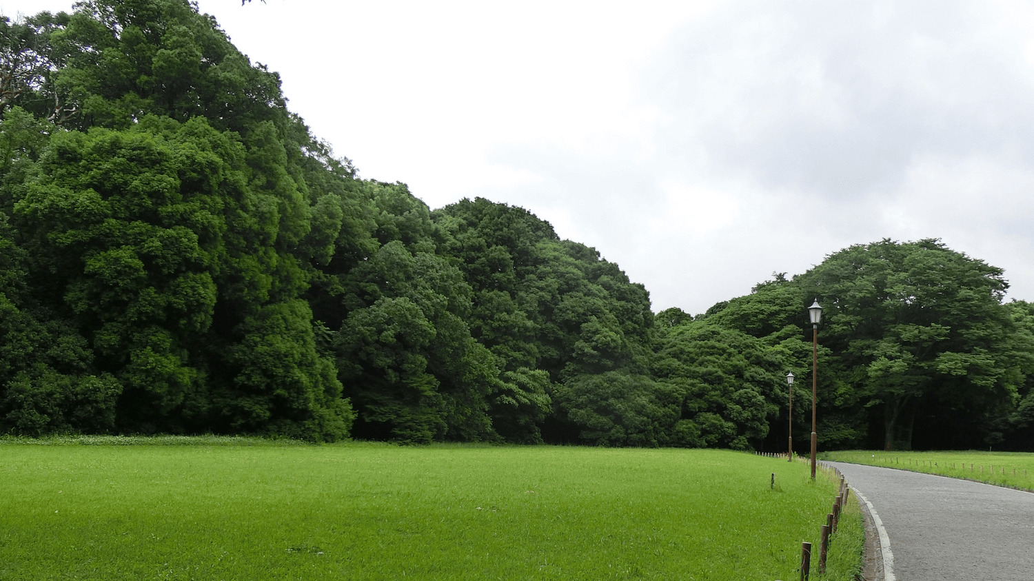 明治神宮芝生エリア